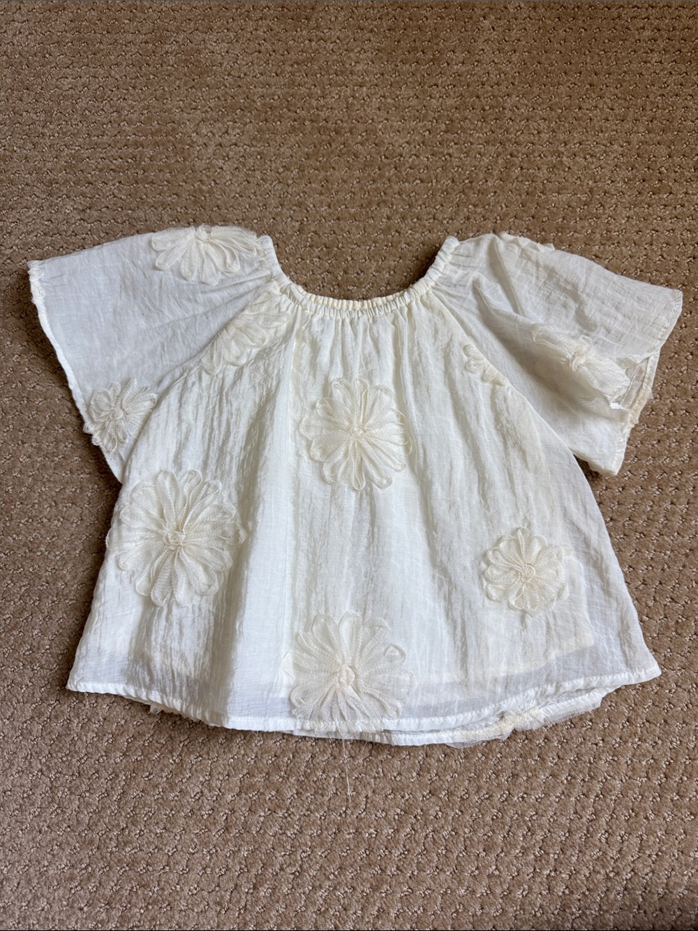 Zara Embroidered Floral Peasant Top